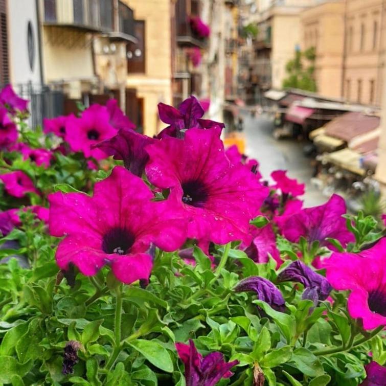 Il Rosone Luxury B&B Palermo Exterior photo